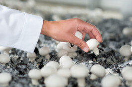  Professionelle Industriefotografie, Businessfotografie und Employer-Branding-Fotografie für Unternehmen, Handwerk und Industrie in Österreich (Tirol/Innsbruck, Vorarlberg/Bregenz/Feldkirch/Bludenz, Oberösterreich/Linz, Südtirol/Bozen und Bayern/München – Produktionsaufnahmen, Mitarbeiterporträts und Anwendungsbilder.