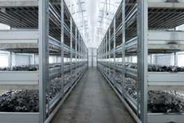  Professionelle Industriefotografie, Businessfotografie und Employer-Branding-Fotografie für Unternehmen, Handwerk und Industrie in Österreich (Tirol/Innsbruck, Vorarlberg/Bregenz/Feldkirch/Bludenz, Oberösterreich/Linz, Südtirol/Bozen und Bayern/München – Produktionsaufnahmen, Mitarbeiterporträts und Anwendungsbilder.